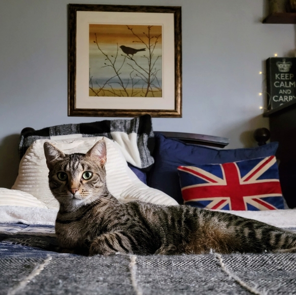 Meet your Posher, Stephanie - Picture 10 of 10